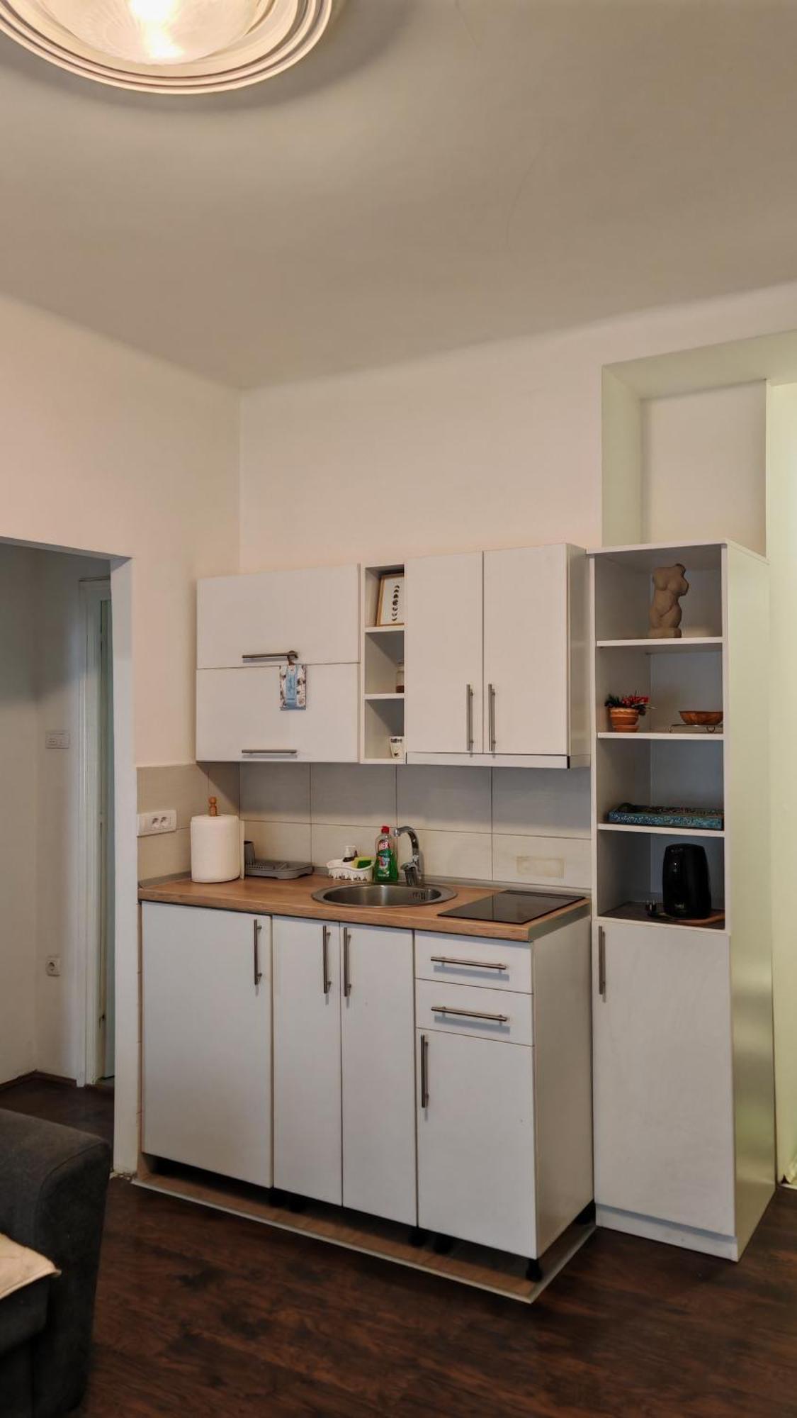 Zeleni Venac Studio & Apartment Belgrad Exterior foto